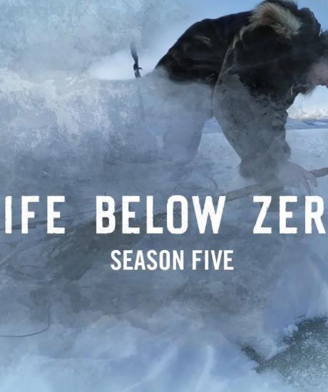 零度以下的生活第五季
